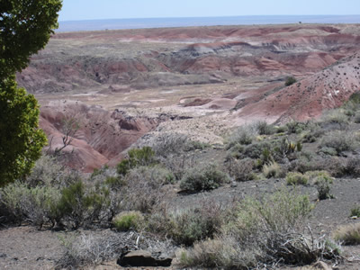 painted desert